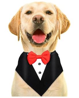 Buraq Dog Tuxedo Dress | Bandana Set | Bow Tie | Wedding Party Suit | For Small Medium Large | Male And Female Dogs | Golden Retriever Labrador Shitzu Pug (S, Black)